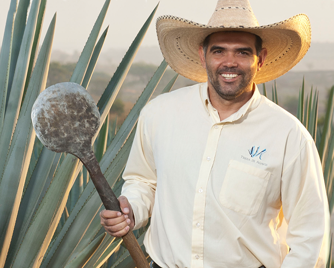 master agave grower